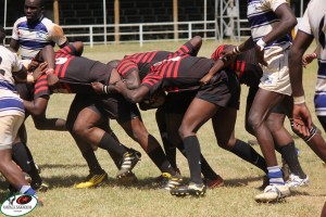 Impala forwards in past action
