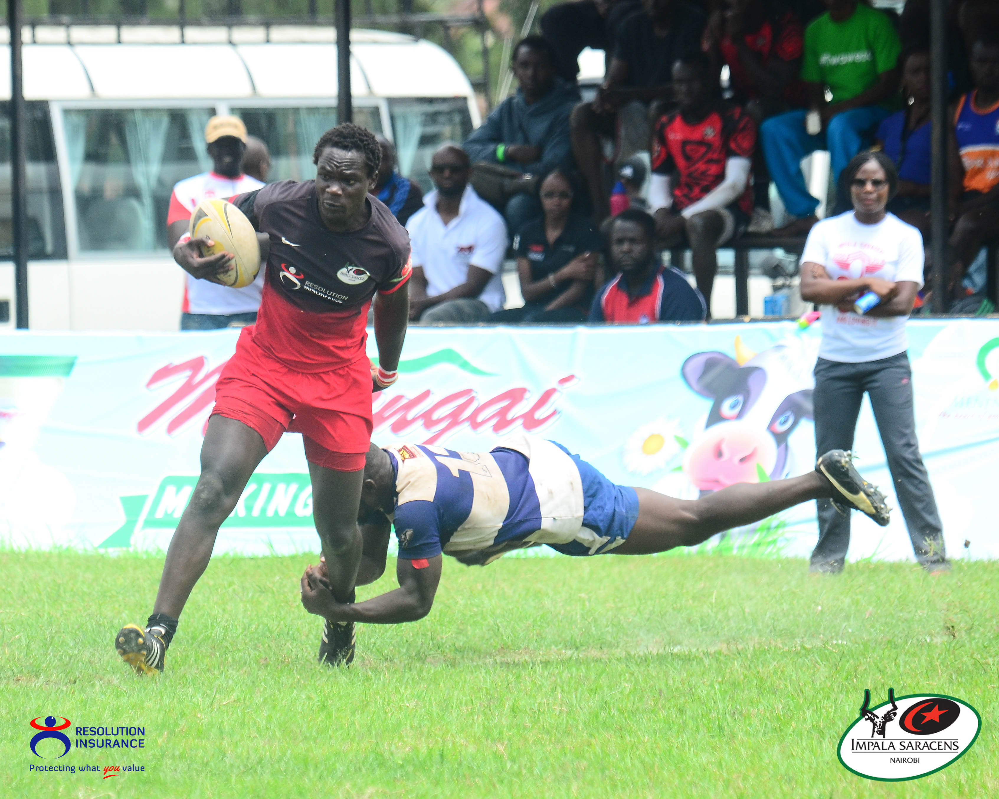 IMPALA vs WESTERN BULLS EDITED 2-2