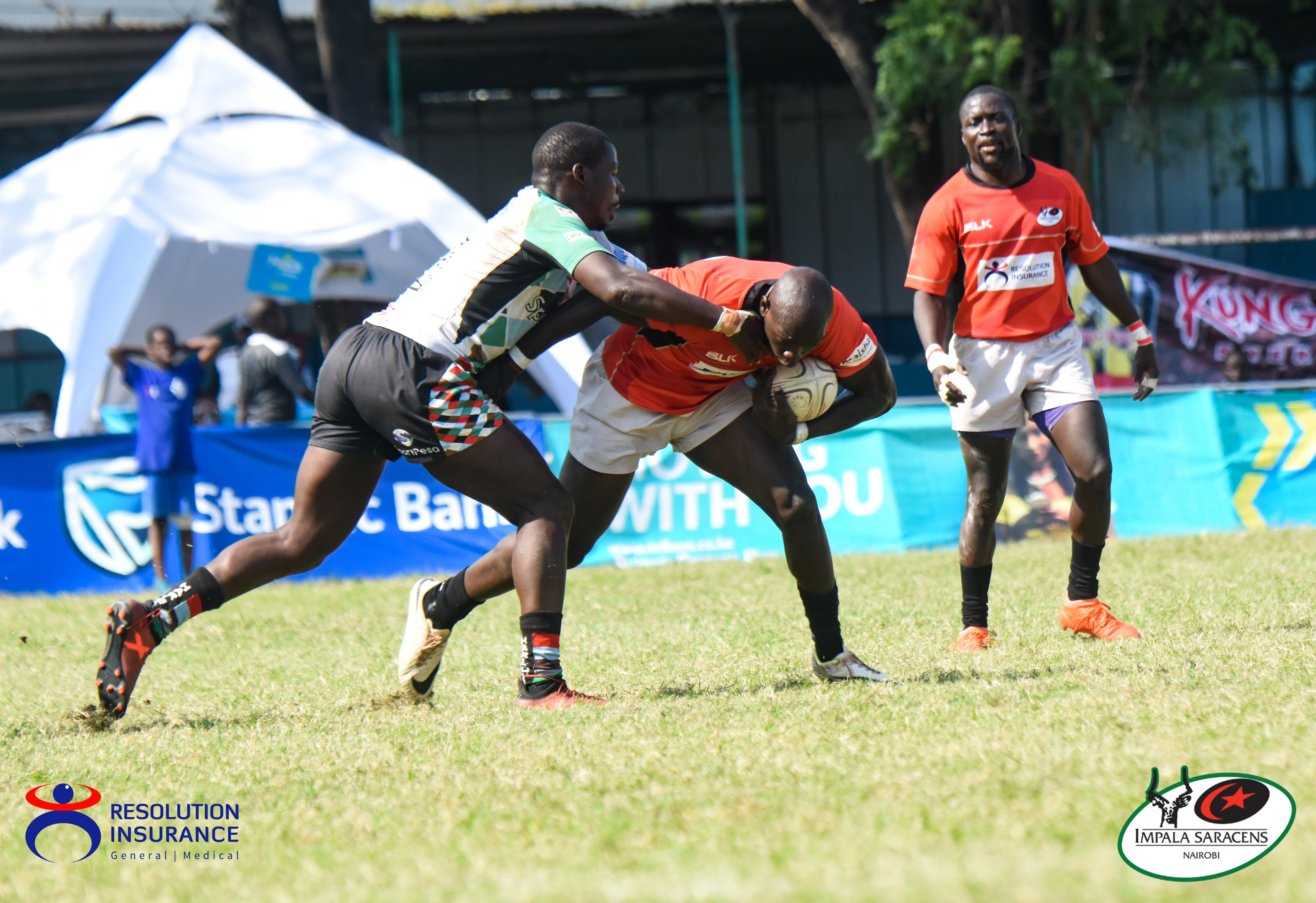 Impala vs Quins Driftwood-42